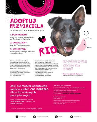 Kalendarz Schroniska w Korabiewicach 2026