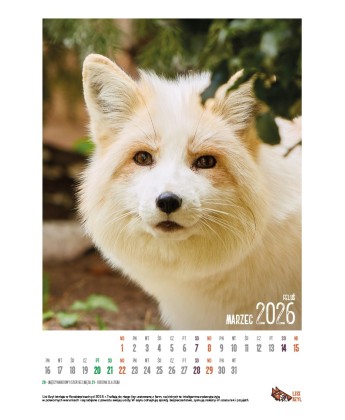 Kalendarz Lisi Azyl 2026 - PRZEDSPRZEDAŻ WYSYŁKA OD 08.12.2025