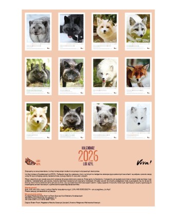 Kalendarz Lisi Azyl 2026 - PRZEDSPRZEDAŻ WYSYŁKA OD 08.12.2025