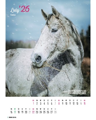 Kalendarz Ratuj Konie 2026 - PRZEDSPRZEDAŻ WYSYŁKA OD 01.12.2025