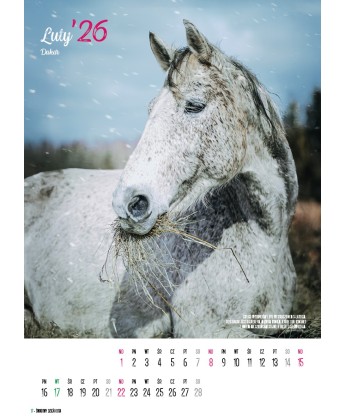 Kalendarz Ratuj Konie 2026 - PRZEDSPRZEDAŻ WYSYŁKA OD 01.12.2025