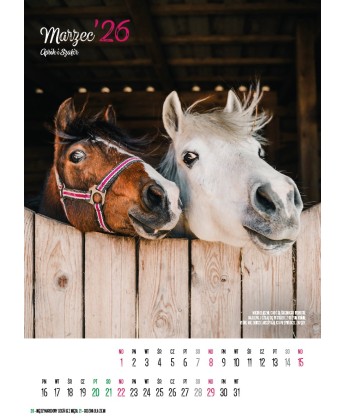 Kalendarz Ratuj Konie 2026 - PRZEDSPRZEDAŻ WYSYŁKA OD 01.12.2025