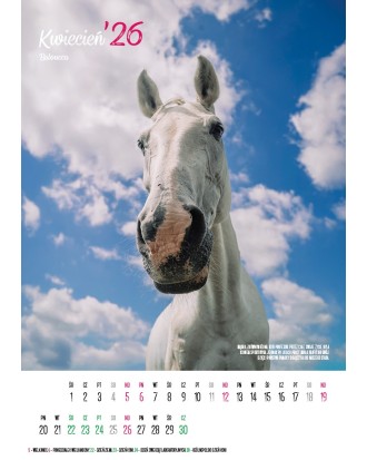 Kalendarz Ratuj Konie 2026 - PRZEDSPRZEDAŻ WYSYŁKA OD 01.12.2025