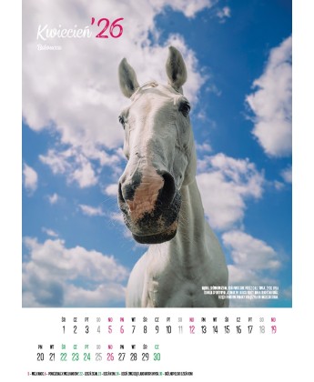 Kalendarz Ratuj Konie 2026 - PRZEDSPRZEDAŻ WYSYŁKA OD 01.12.2025