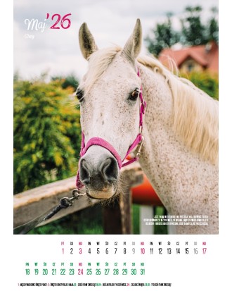 Kalendarz Ratuj Konie 2026 - PRZEDSPRZEDAŻ WYSYŁKA OD 01.12.2025