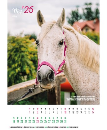 Kalendarz Ratuj Konie 2026 - PRZEDSPRZEDAŻ WYSYŁKA OD 01.12.2025