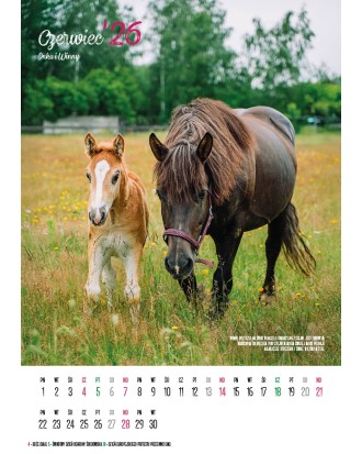 Kalendarz Ratuj Konie 2026 - PRZEDSPRZEDAŻ WYSYŁKA OD 01.12.2025