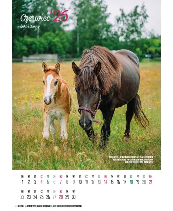 Kalendarz Ratuj Konie 2026 - PRZEDSPRZEDAŻ WYSYŁKA OD 01.12.2025