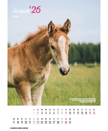 Kalendarz Ratuj Konie 2026 - PRZEDSPRZEDAŻ WYSYŁKA OD 01.12.2025