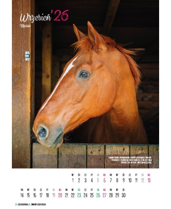 Kalendarz Ratuj Konie 2026 - PRZEDSPRZEDAŻ WYSYŁKA OD 01.12.2025