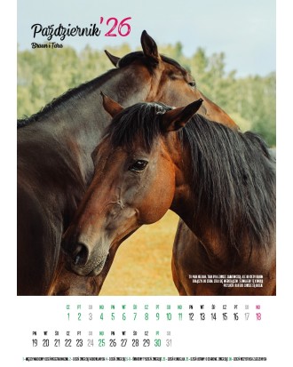 Kalendarz Ratuj Konie 2026 - PRZEDSPRZEDAŻ WYSYŁKA OD 01.12.2025
