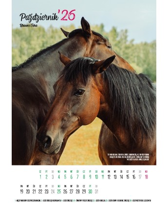 Kalendarz Ratuj Konie 2026 - PRZEDSPRZEDAŻ WYSYŁKA OD 01.12.2025