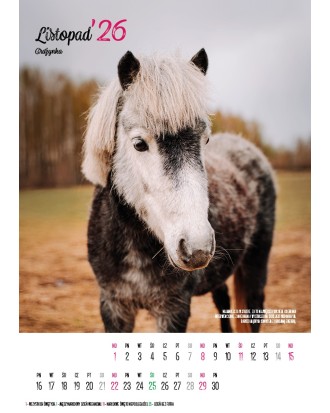 Kalendarz Ratuj Konie 2026 - PRZEDSPRZEDAŻ WYSYŁKA OD 01.12.2025