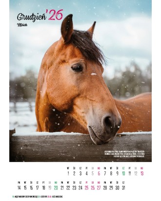 Kalendarz Ratuj Konie 2026 - PRZEDSPRZEDAŻ WYSYŁKA OD 01.12.2025