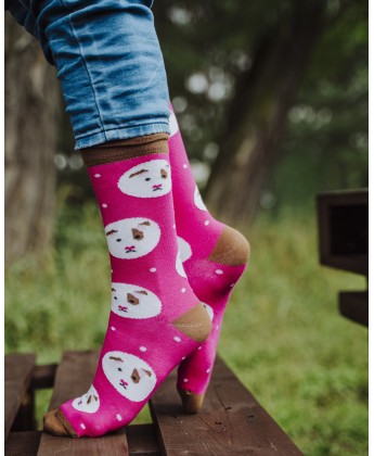 Świąteczny zestaw - Schronisko w Korabiewicach'26