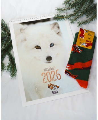 Świąteczny zestaw - Lisi Azyl