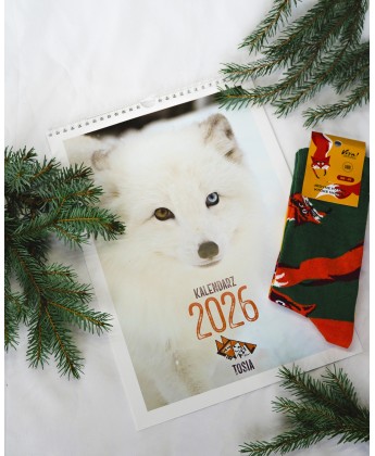 Świąteczny zestaw - Lisi Azyl