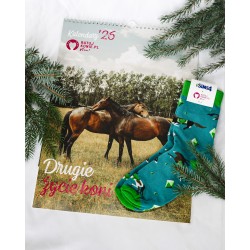 Świąteczny zestaw - Ratuj Konie