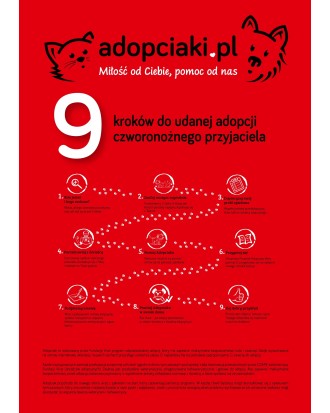 Kalendarz Adopciaki 2025 - PRZEDSPRZEDAŻ