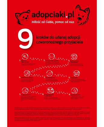Kalendarz Adopciaki 2025 - PRZEDSPRZEDAŻ
