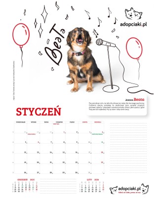 Kalendarz Adopciaki 2025 - PRZEDSPRZEDAŻ