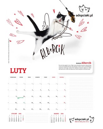 Kalendarz Adopciaki 2025 - PRZEDSPRZEDAŻ