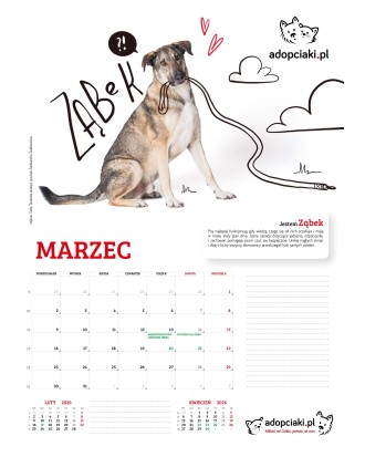 Kalendarz Adopciaki 2025 - PRZEDSPRZEDAŻ