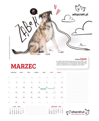 Kalendarz Adopciaki 2025 - PRZEDSPRZEDAŻ