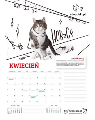 Kalendarz Adopciaki 2025 - PRZEDSPRZEDAŻ