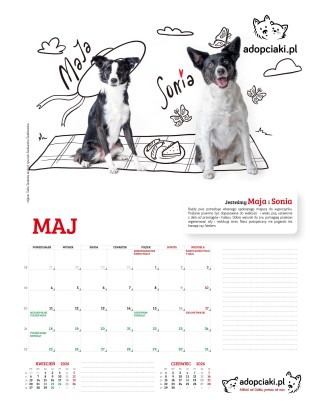 Kalendarz Adopciaki 2025 - PRZEDSPRZEDAŻ