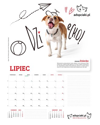 Kalendarz Adopciaki 2025 - PRZEDSPRZEDAŻ