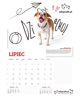 Kalendarz Adopciaki 2025 - PRZEDSPRZEDAŻ