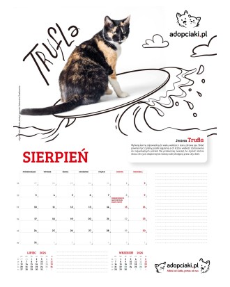 Kalendarz Adopciaki 2025 - PRZEDSPRZEDAŻ