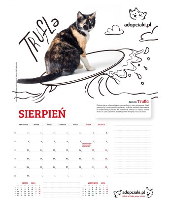 Kalendarz Adopciaki 2025 - PRZEDSPRZEDAŻ
