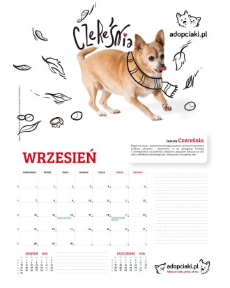 Kalendarz Adopciaki 2025 - PRZEDSPRZEDAŻ