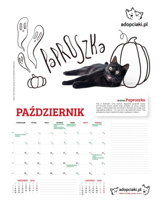 Kalendarz Adopciaki 2025 - PRZEDSPRZEDAŻ