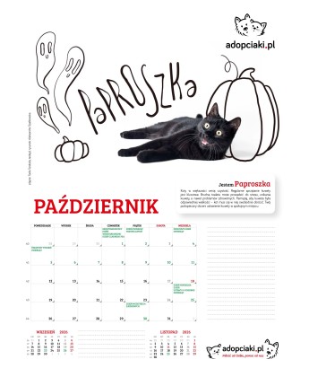 Kalendarz Adopciaki 2025 - PRZEDSPRZEDAŻ