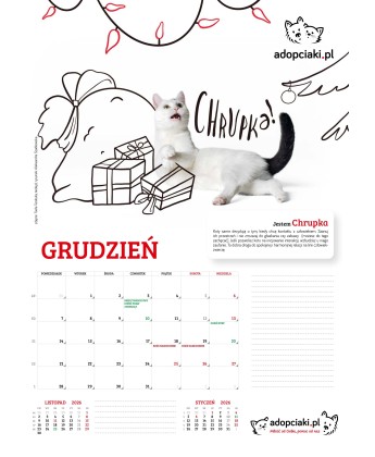 Kalendarz Adopciaki 2025 - PRZEDSPRZEDAŻ