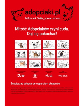 Kalendarz Adopciaki 2025 - PRZEDSPRZEDAŻ